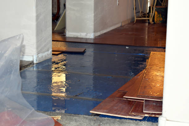 Professional Water Extraction technician working in Hampshire, IL